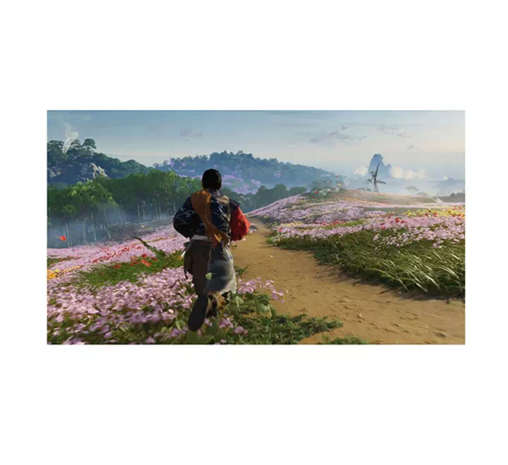 Ghost Of Tsushima director's Cut RUS / PS4 - Image 2